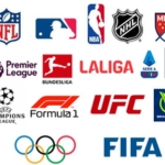 Sports Leagues